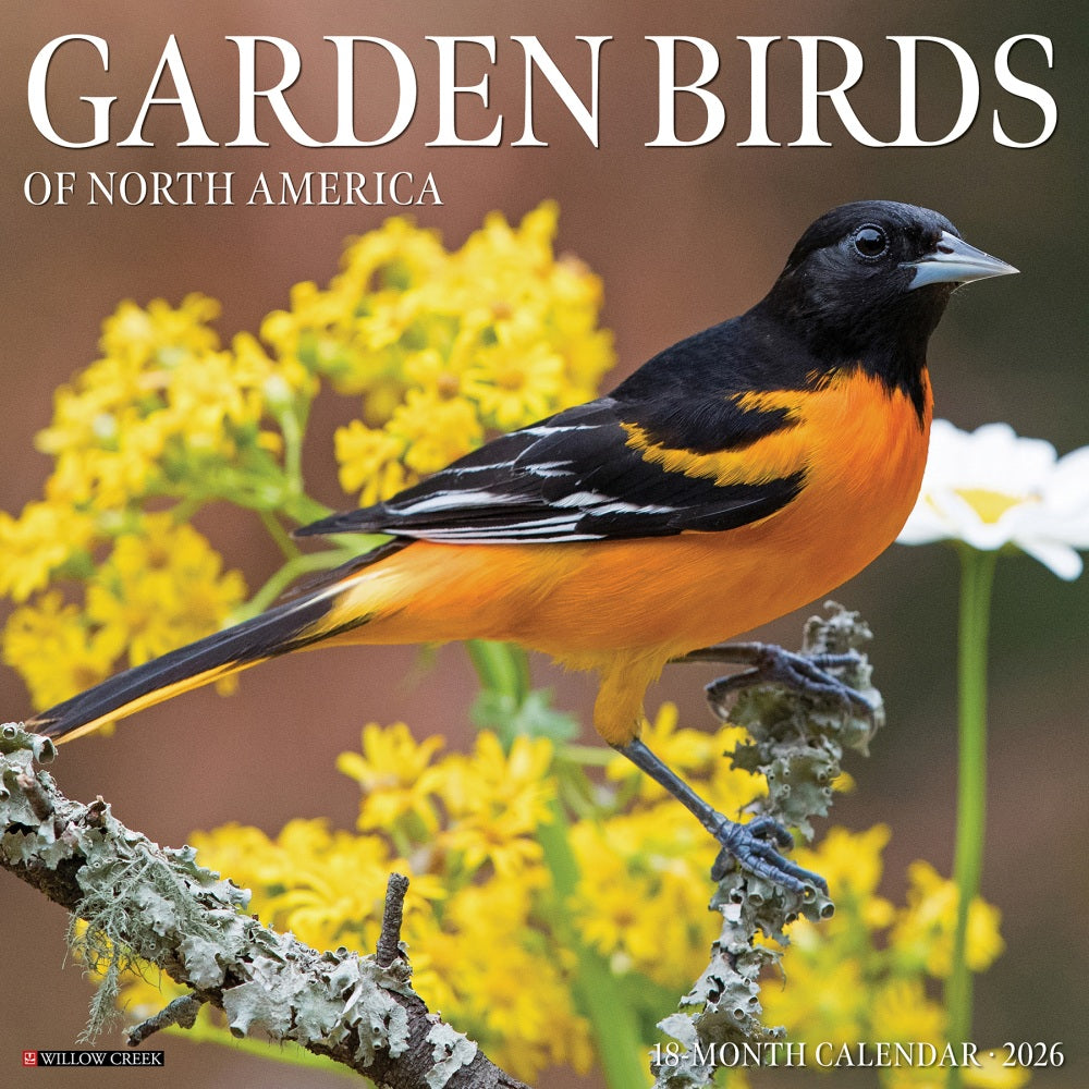 2026 Willow Creek Press Animals Monthly Wall Calendar, 12in x 12in, Garden Birds, January To December, 51184