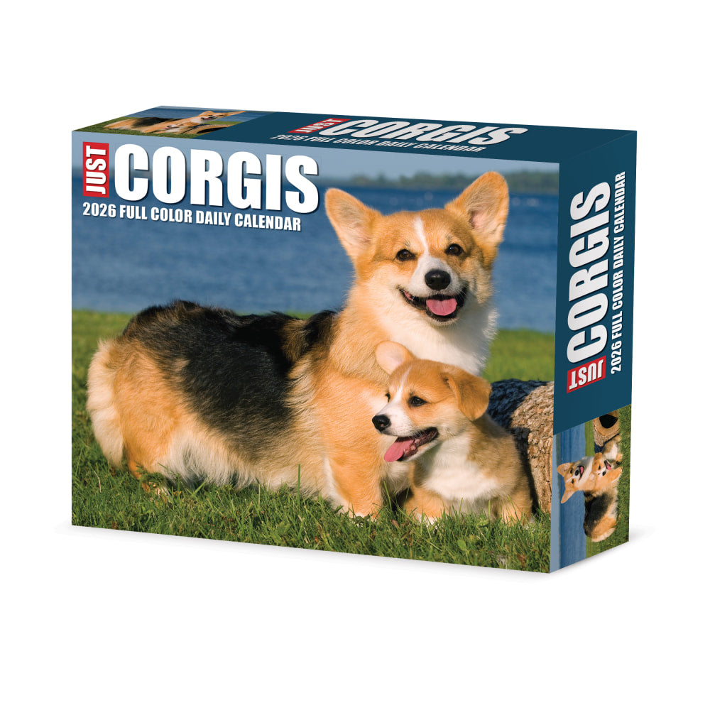 2026 Willow Creek Press Page-A-Day Daily Desk Calendar, 6-1/4in x 5-1/2in, Corgis, January To December, 54079