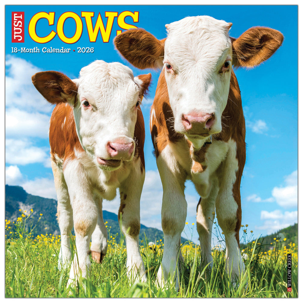 2026 Willow Creek Press Animals Monthly Wall Calendar, 12in x 12in, Cows, January To December, 50903
