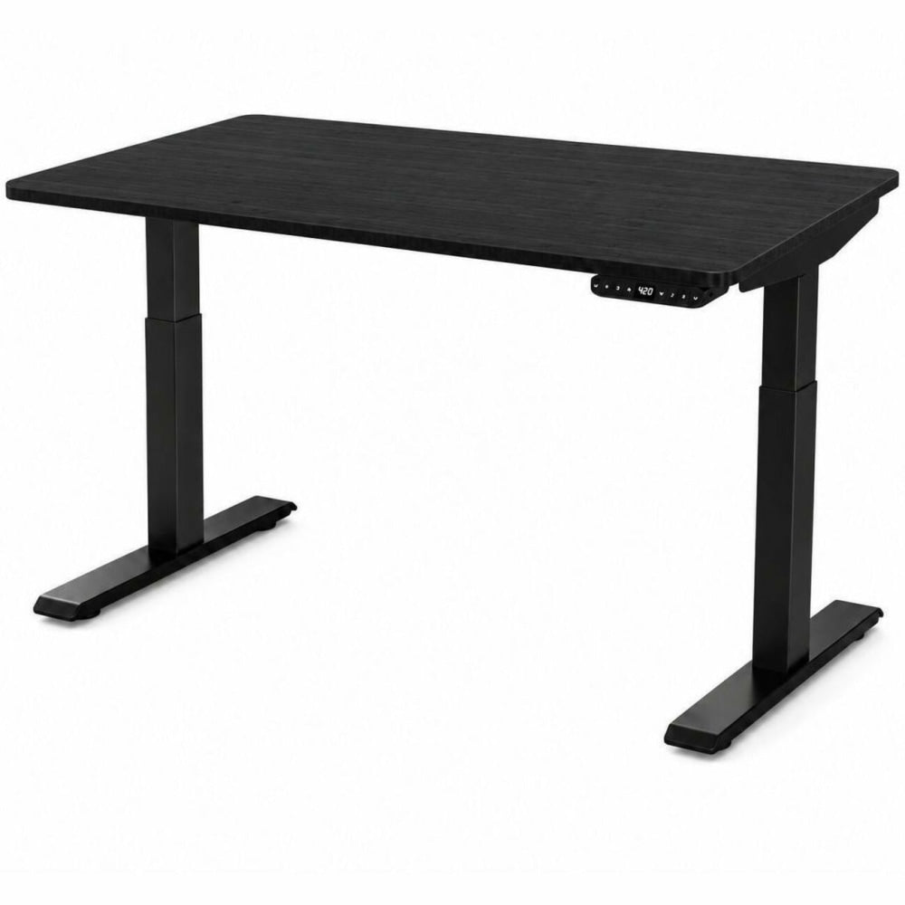 Rise Up Electric 48inW Standing Computer Desk, Black Frame