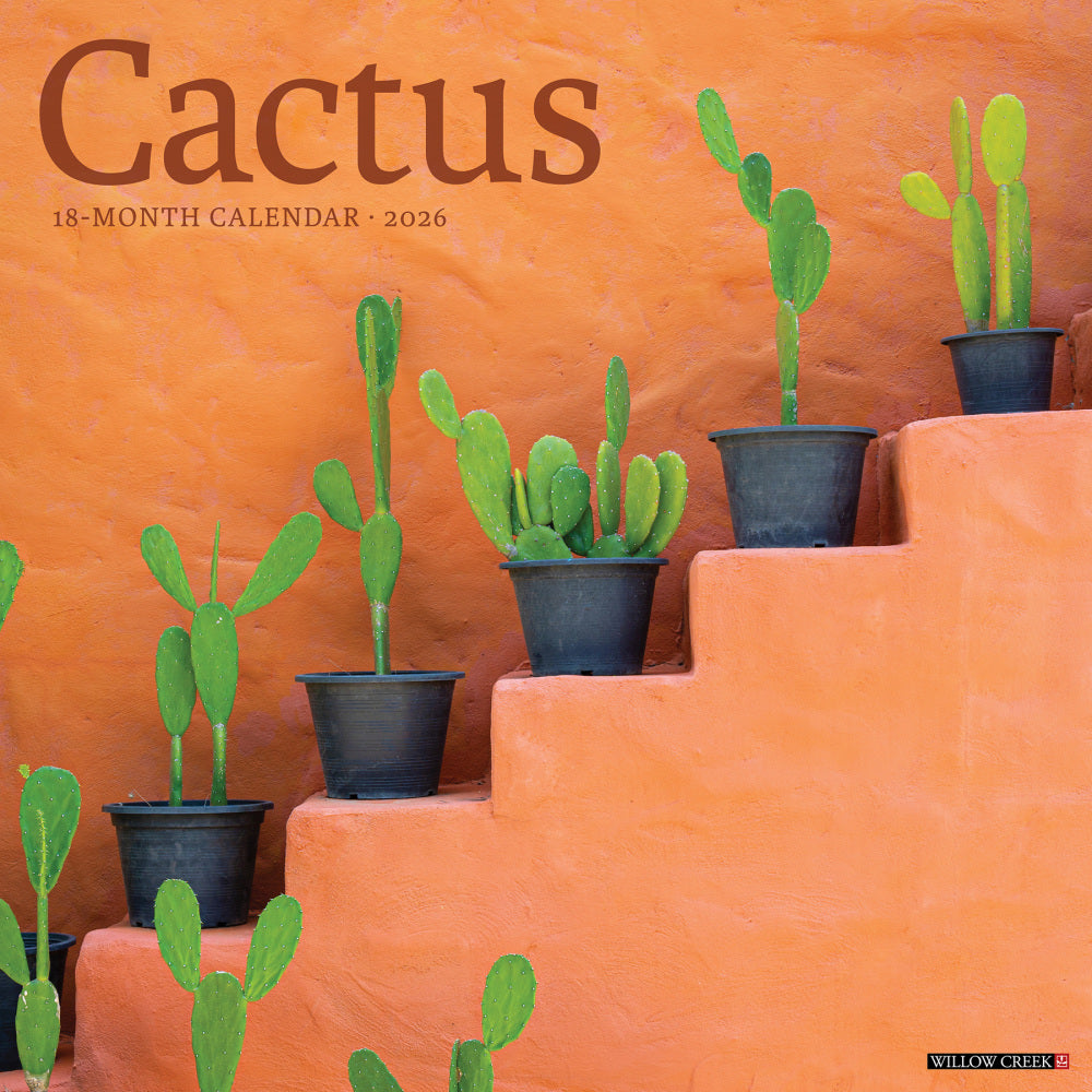 2026 Willow Creek Press Art & Design Monthly Wall Calendar, 12in x 12in, Cactus, January To December, 50477
