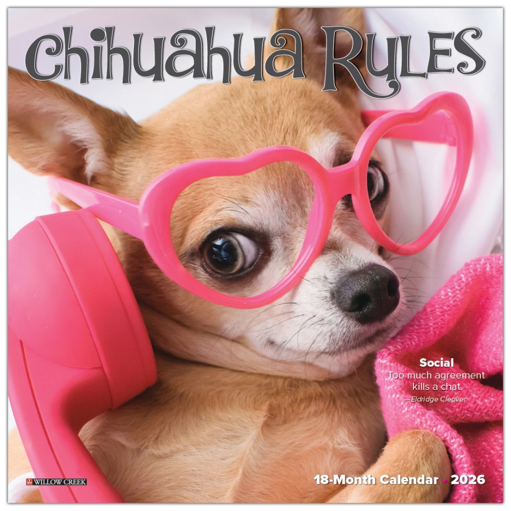 2026 Willow Creek Press Monthly Mini Wall Calendar, 7in x 7in, Chihuahua Rules, January To December, 53508
