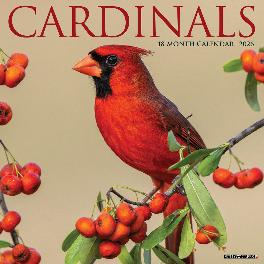 2026 Willow Creek Press Animals Monthly Wall Calendar, 12in x 12in, Cardinals, January To December, 50552