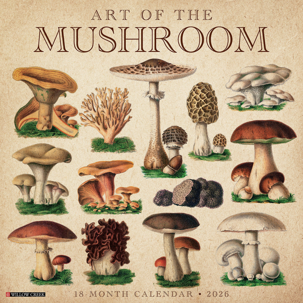 2026 Willow Creek Press Art & Design Monthly Wall Calendar, 12in x 12in, Art of the Mushroom, January To December, 49914