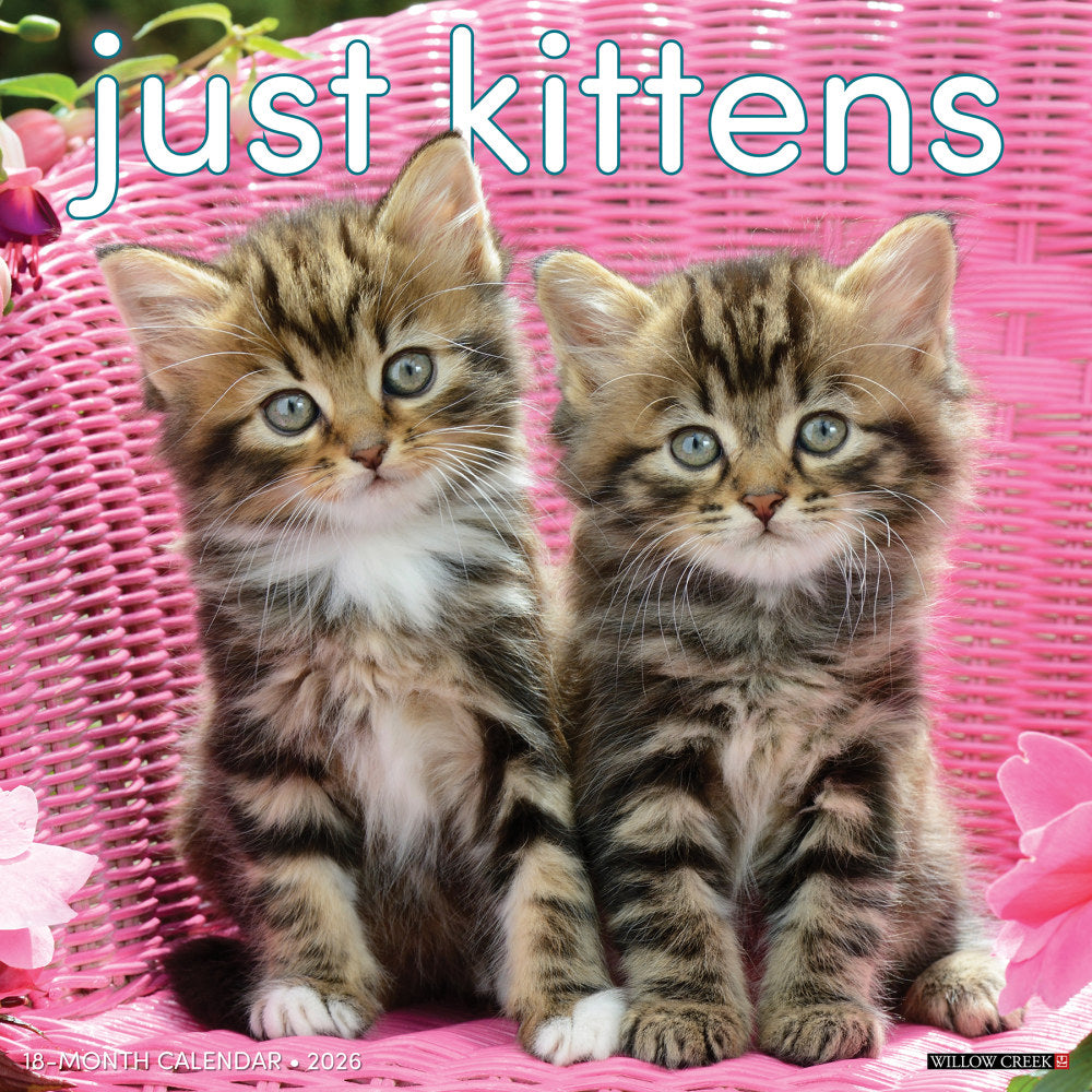 2026 Willow Creek Press Animals Monthly Wall Calendar, 12in x 12in, Kittens, January To December, 51696