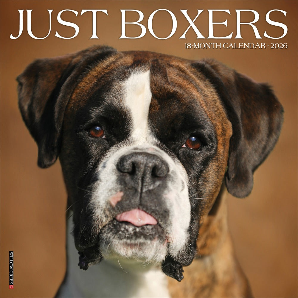 2026 Willow Creek Press Animals Monthly Wall Calendar, 12in x 12in, Boxers, January To December, 50378