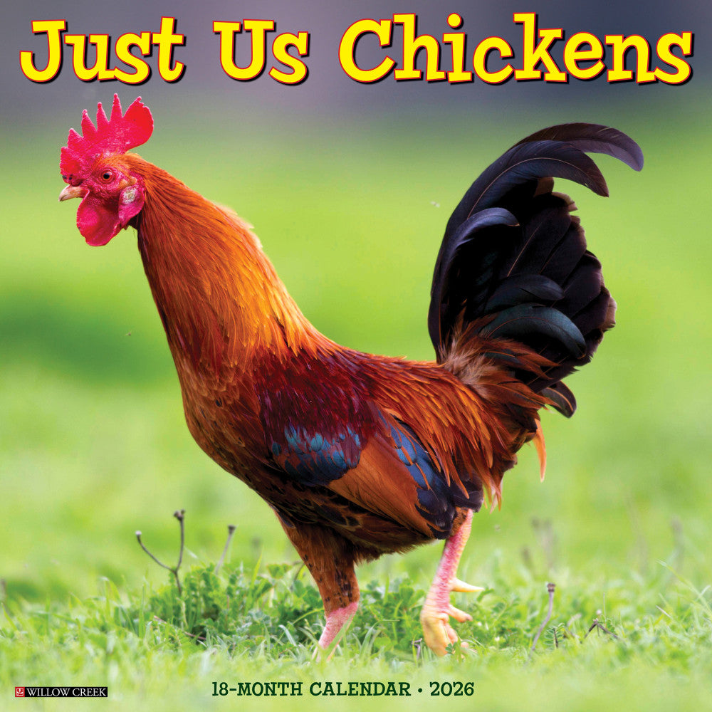 2026 Willow Creek Press Animals Monthly Wall Calendar, 12in x 12in, Just Us Chickens, January To December, 51658