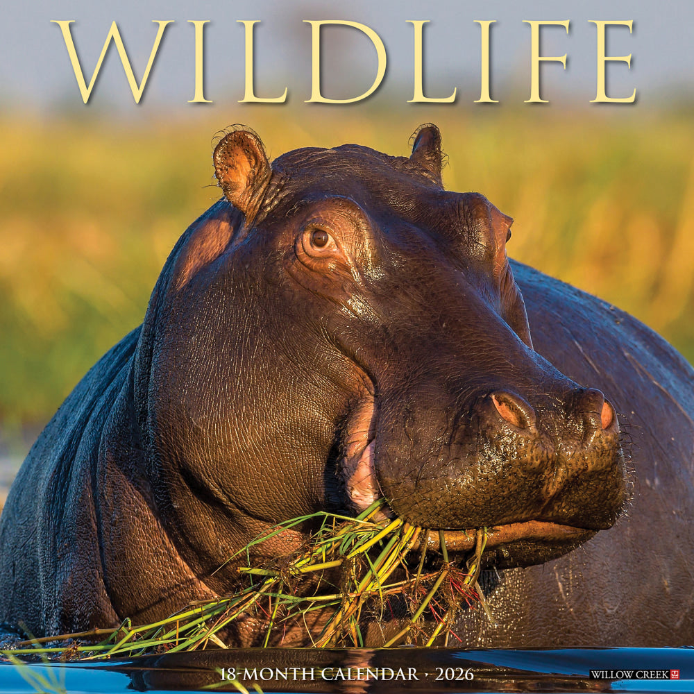2026 Willow Creek Press Animals Monthly Wall Calendar, 12in x 12in, Wildlife, January To December, 53300