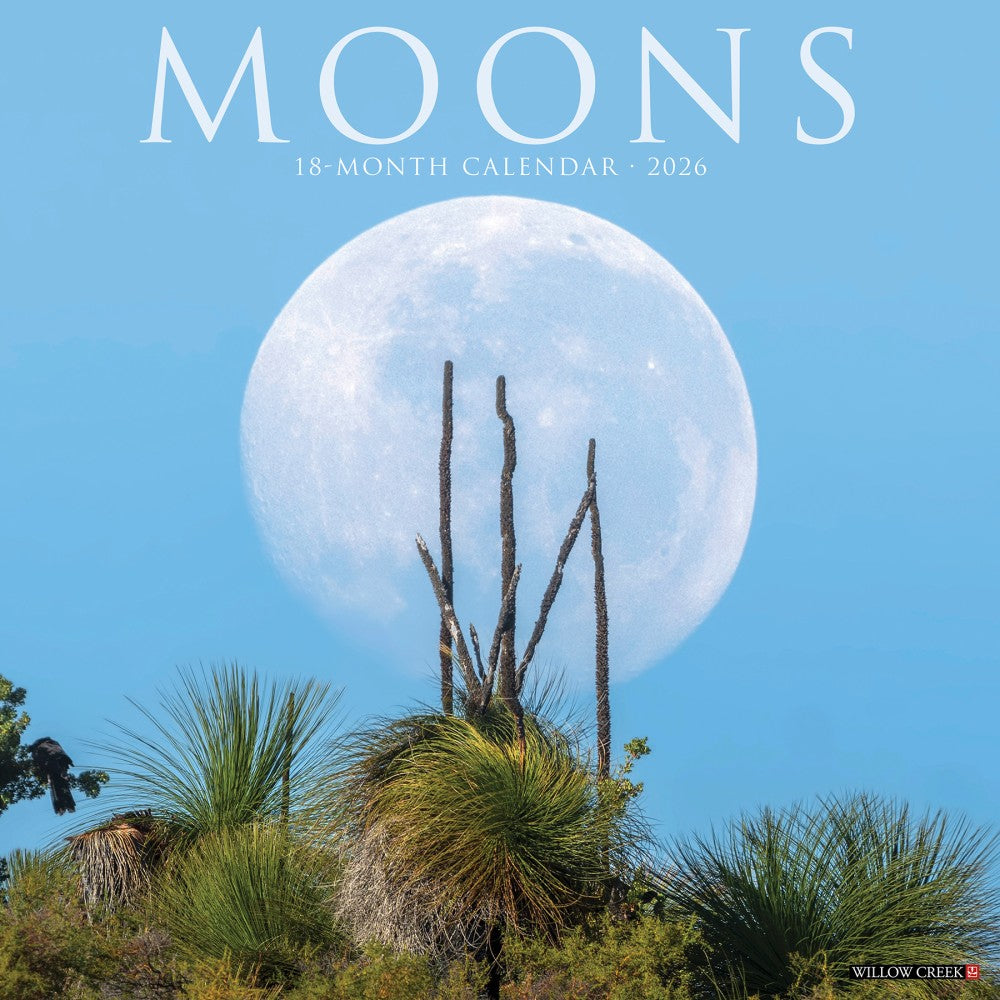 2026 Willow Creek Press Scenic Monthly Wall Calendar, 12in x 12in, Moons, January To December, 52013