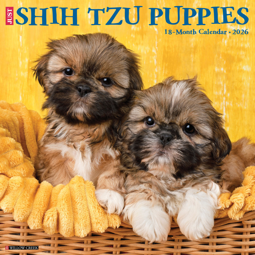 2026 Willow Creek Press Animals Monthly Wall Calendar, 12in x 12in, Shih Tzu Puppies, January To December, 52778