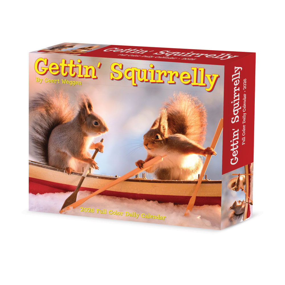 2026 Willow Creek Press Page-A-Day Daily Desk Calendar, 6-1/4in x 5-1/2in, Gettin Squirrelly, January To December, 54185