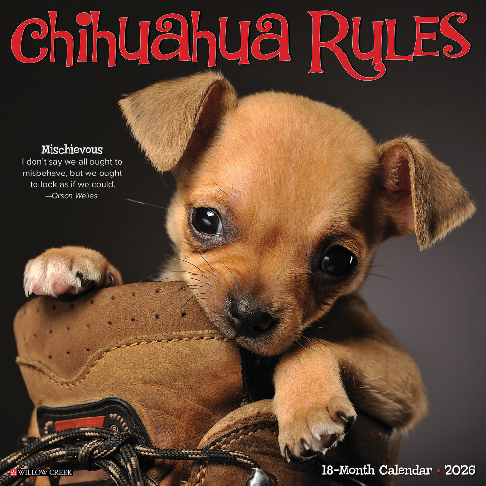 2026 Willow Creek Press Animals Monthly Wall Calendar, 12in x 12in, Chihuahua Rules, January To December, 50682
