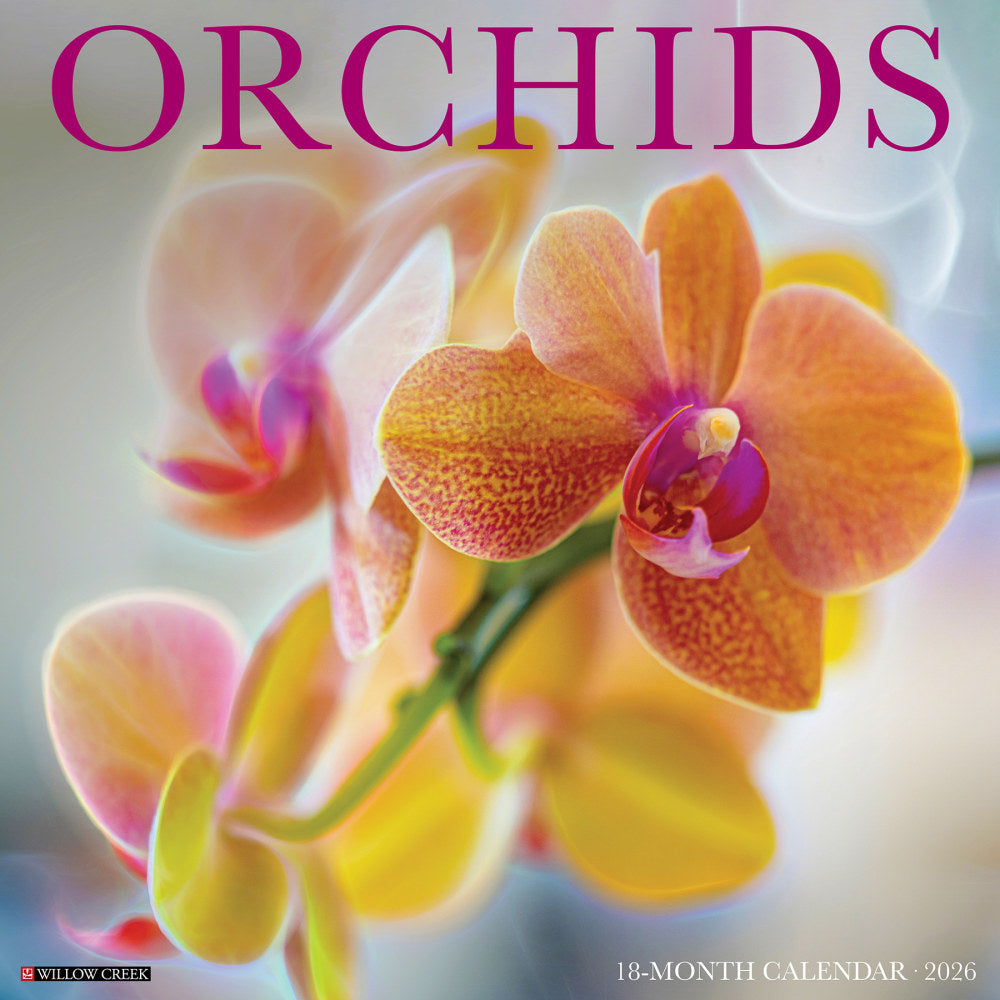 2026 Willow Creek Press Art & Design Monthly Wall Calendar, 12in x 12in, Orchids, January To December, 56035