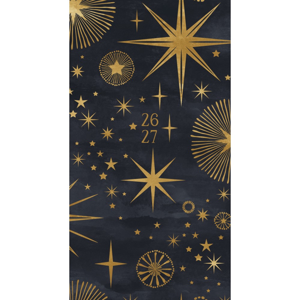 2026-2027 Willow Creek Press 2-Year Monthly Checkbook/Calendar, 3-1/2in x 6-1/2in, Celestial, January 2026 To December 2027, 56516