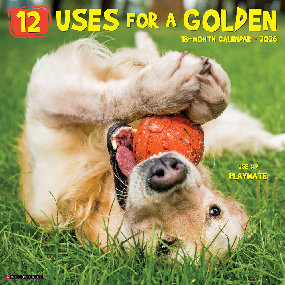 2026 Willow Creek Press Animals Monthly Wall Calendar, 12in x 12in, 12 Uses for a Golden, January To December, 49730