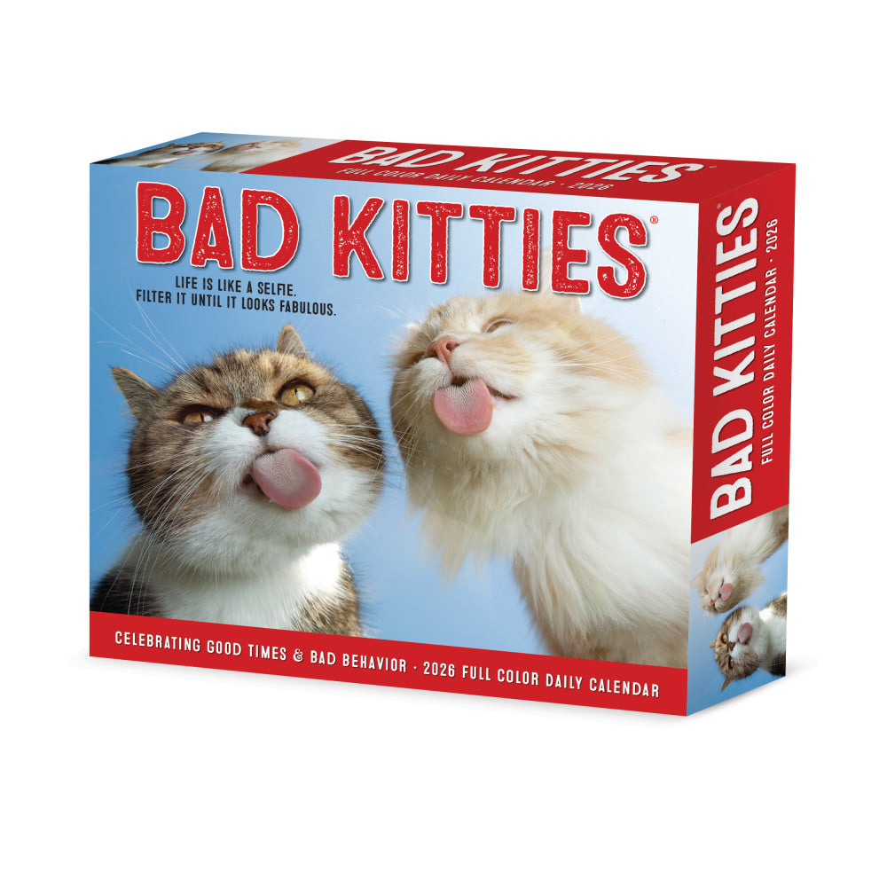 2026 Willow Creek Press Page-A-Day Daily Desk Calendar, 6-1/4in x 5-1/2in, Bad Kitties, January To December, 53959