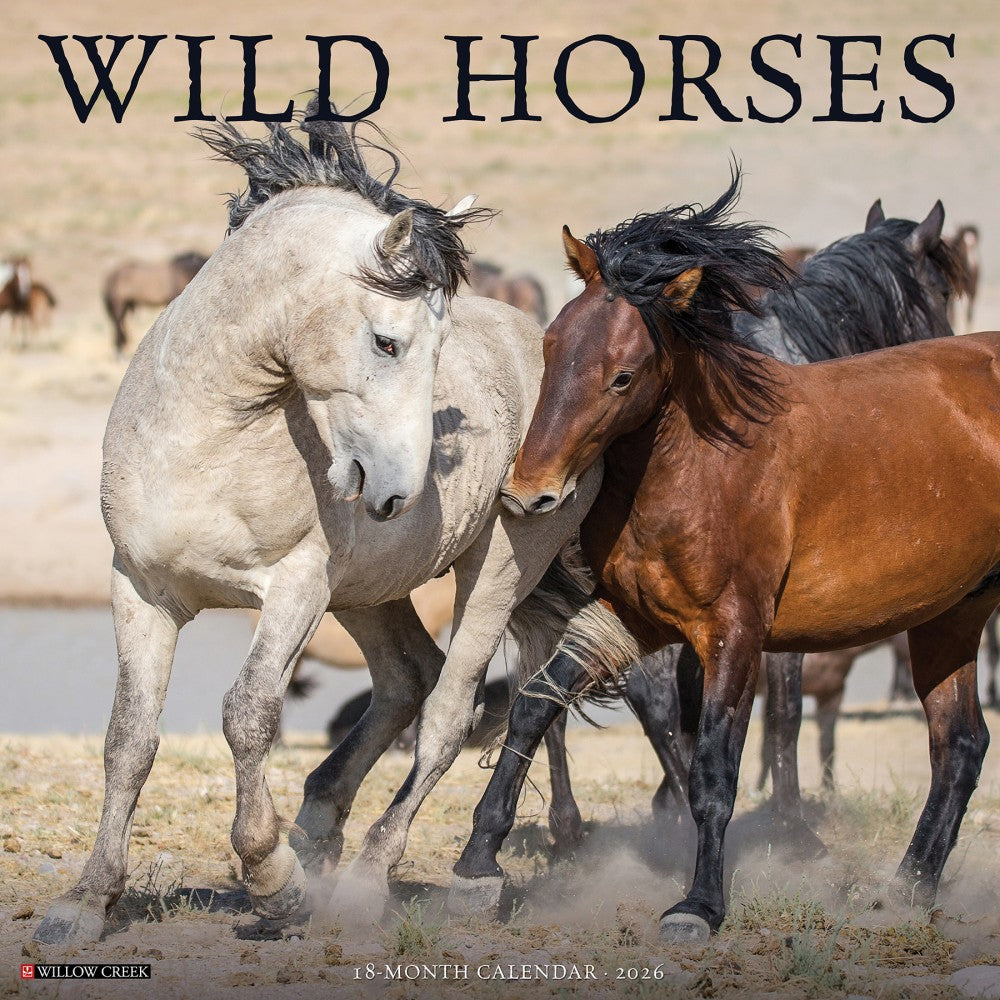 2026 Willow Creek Press Animals Monthly Wall Calendar, 12in x 12in, Wild Horses, January To December, 53287