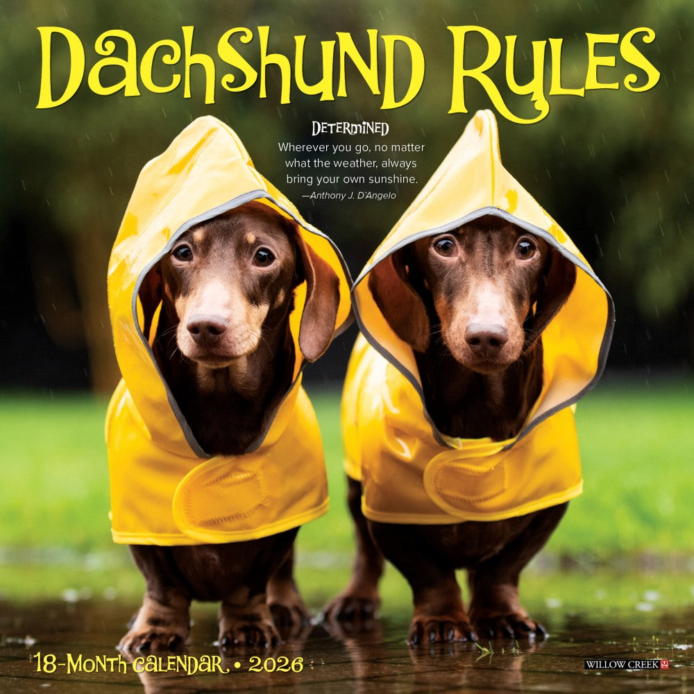 2026 Willow Creek Press Monthly Mini Wall Calendar, 7in x 7in, Dachshund Rules, January To December, 53546