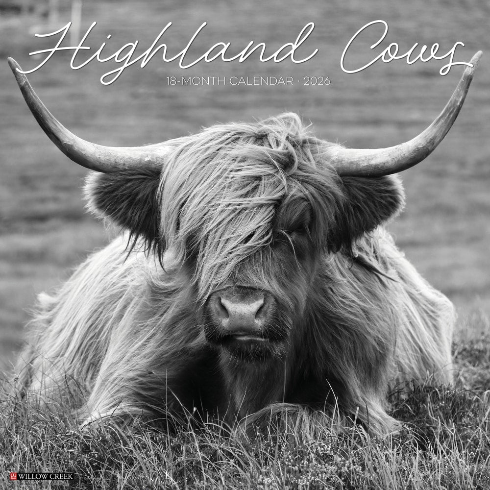 2026 Willow Creek Press Animals Monthly Wall Calendar, 12in x 12in, Highland Cows B&W, January To December, 55847