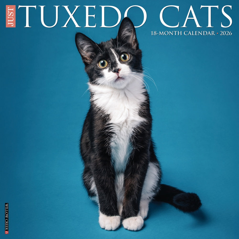 2026 Willow Creek Press Animals Monthly Wall Calendar, 12in x 12in, Tuxedo Cats, January To December, 53034