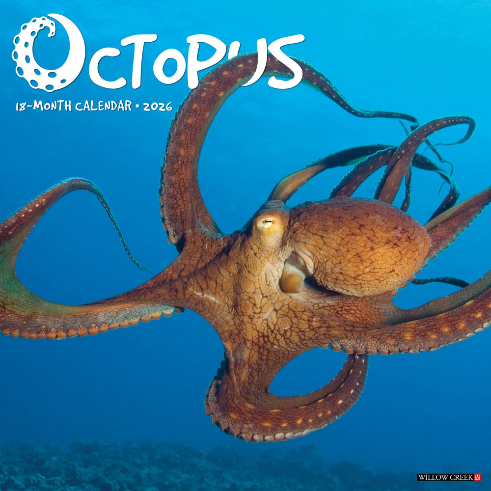 2026 Willow Creek Press Animals Monthly Wall Calendar, 12in x 12in, Octopus, January To December, 56028