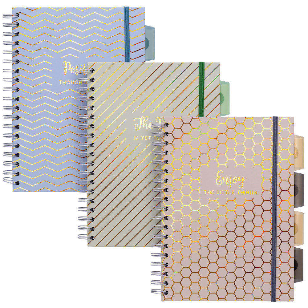 Pukka Pads B5 Project Book, 7in x 10in, 5-Subject, 200 Pages, Assorted Haze, Pack Of 3