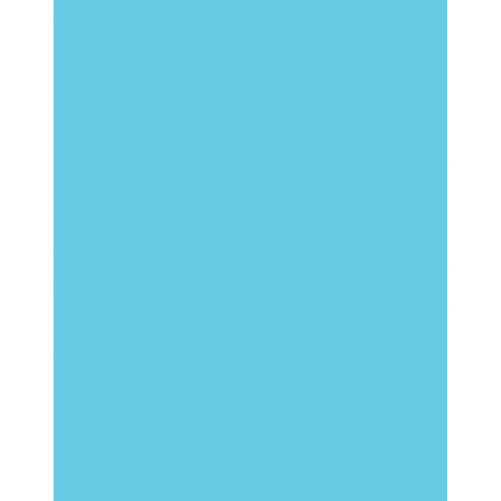 Pacon Peacock Coated Poster Board, 22in x 28in, Light Blue, Pack Of 25