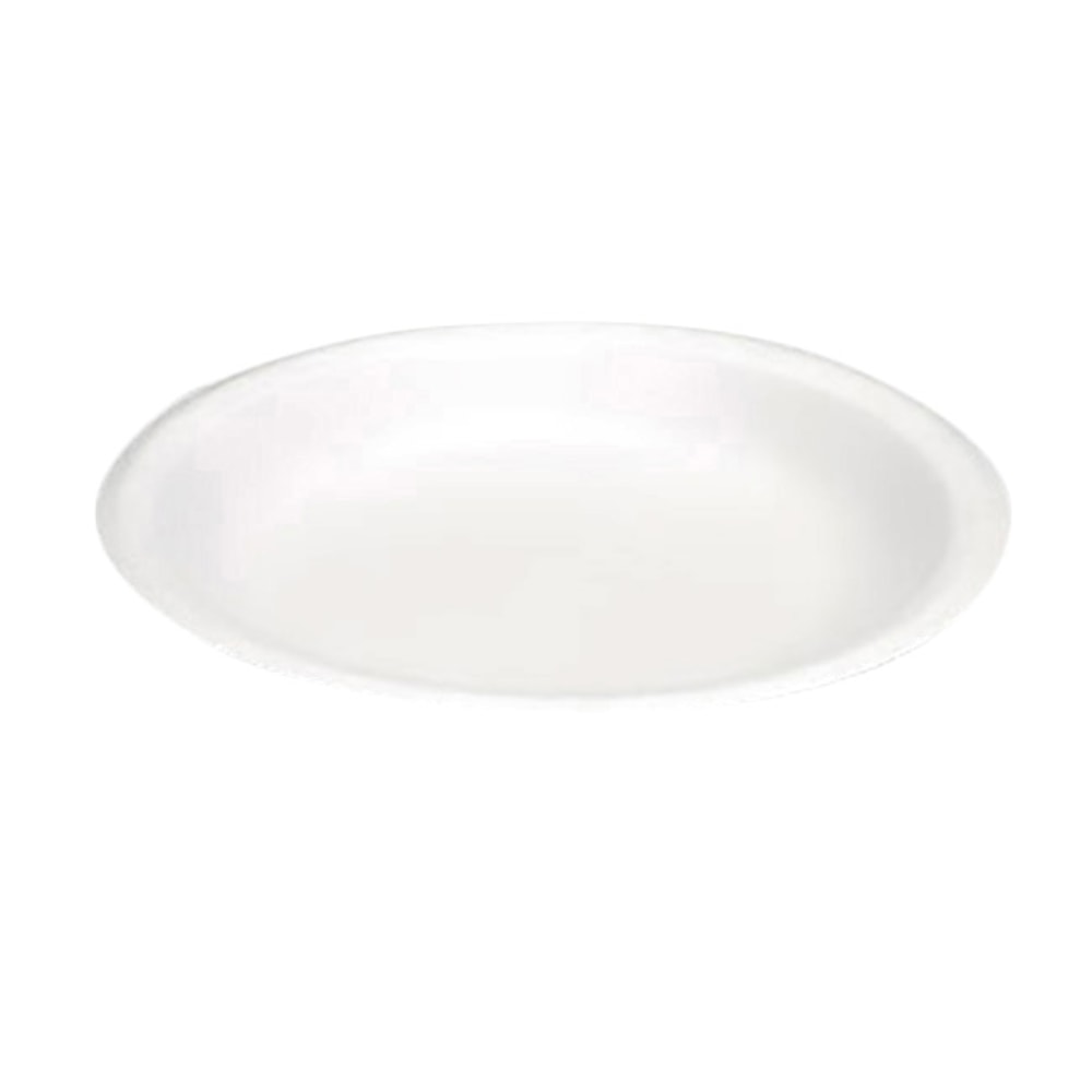Foam Plates, 9in, 500 Carton