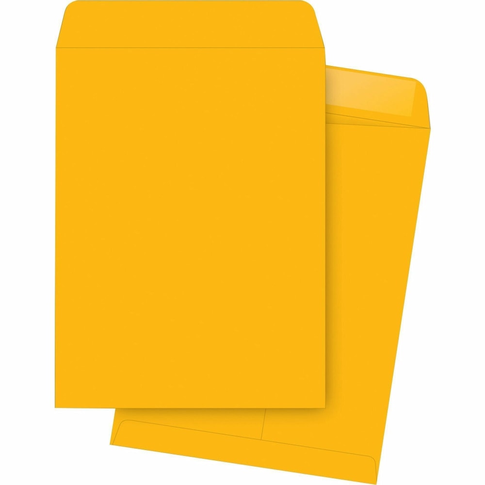 Business Source Kraft Gummed Catalog Envelopes - Catalog - #12 1/2 - 9 1/2in Width x 12 1/2in Length - 28 lb - Gummed - Brown Kraft - Kraft - 250 / Box