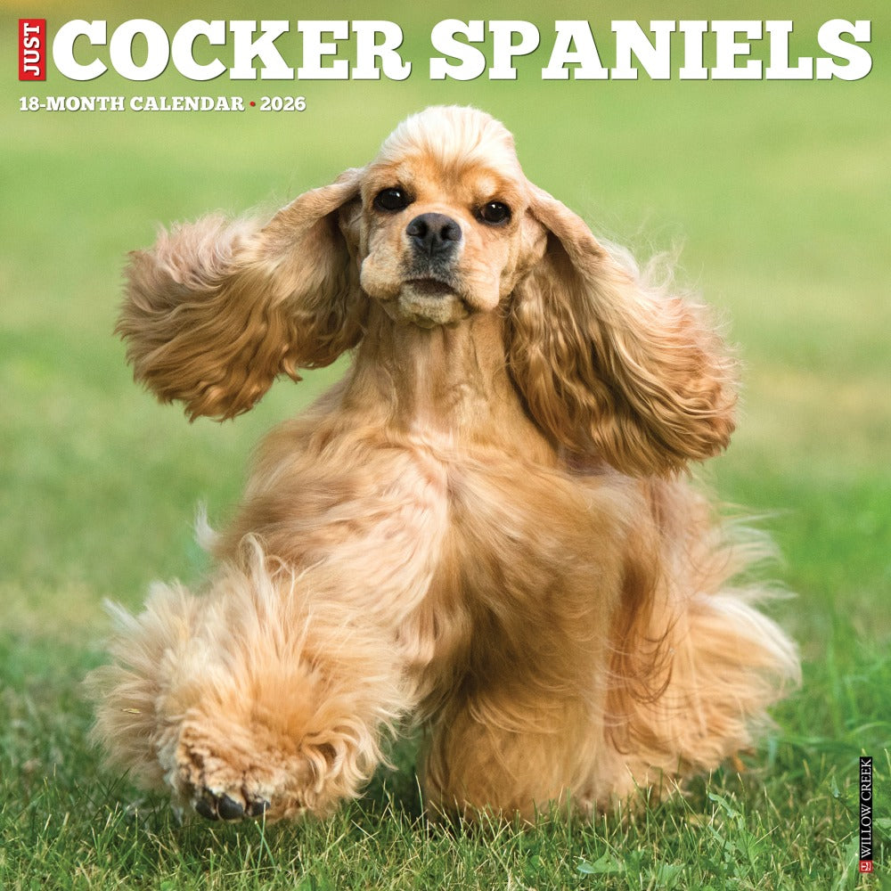 2026 Willow Creek Press Animals Monthly Wall Calendar, 12in x 12in, Cocker Spaniels, January To December, 50781