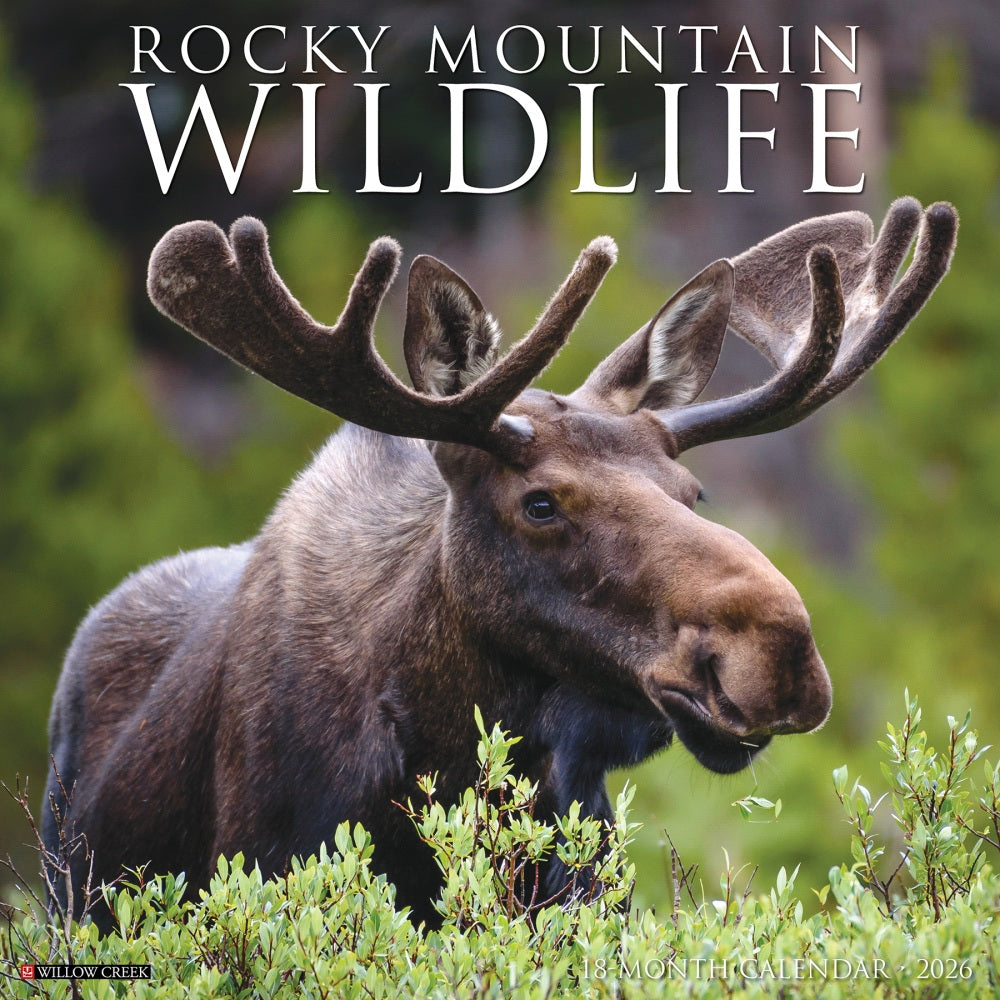 2026 Willow Creek Press Scenic Monthly Wall Calendar, 12in x 12in, Rocky Mountain Wildlife, January To December, 52594