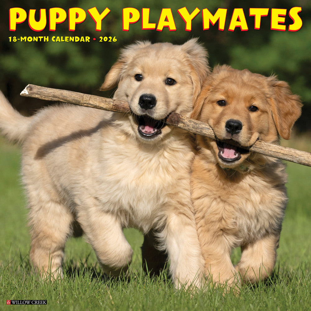 2026 Willow Creek Press Animals Monthly Wall Calendar, 12in x 12in, Puppy Playmates, January To December, 52525