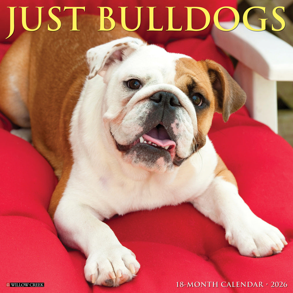 2026 Willow Creek Press Animals Monthly Wall Calendar, 12in x 12in, Bulldogs, January To December, 50439
