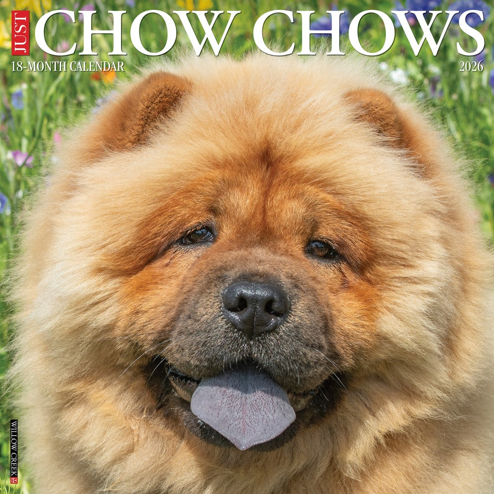 2026 Willow Creek Press Art & Design Monthly Wall Calendar, 12in x 12in, Chow Chows, January To December, 50712