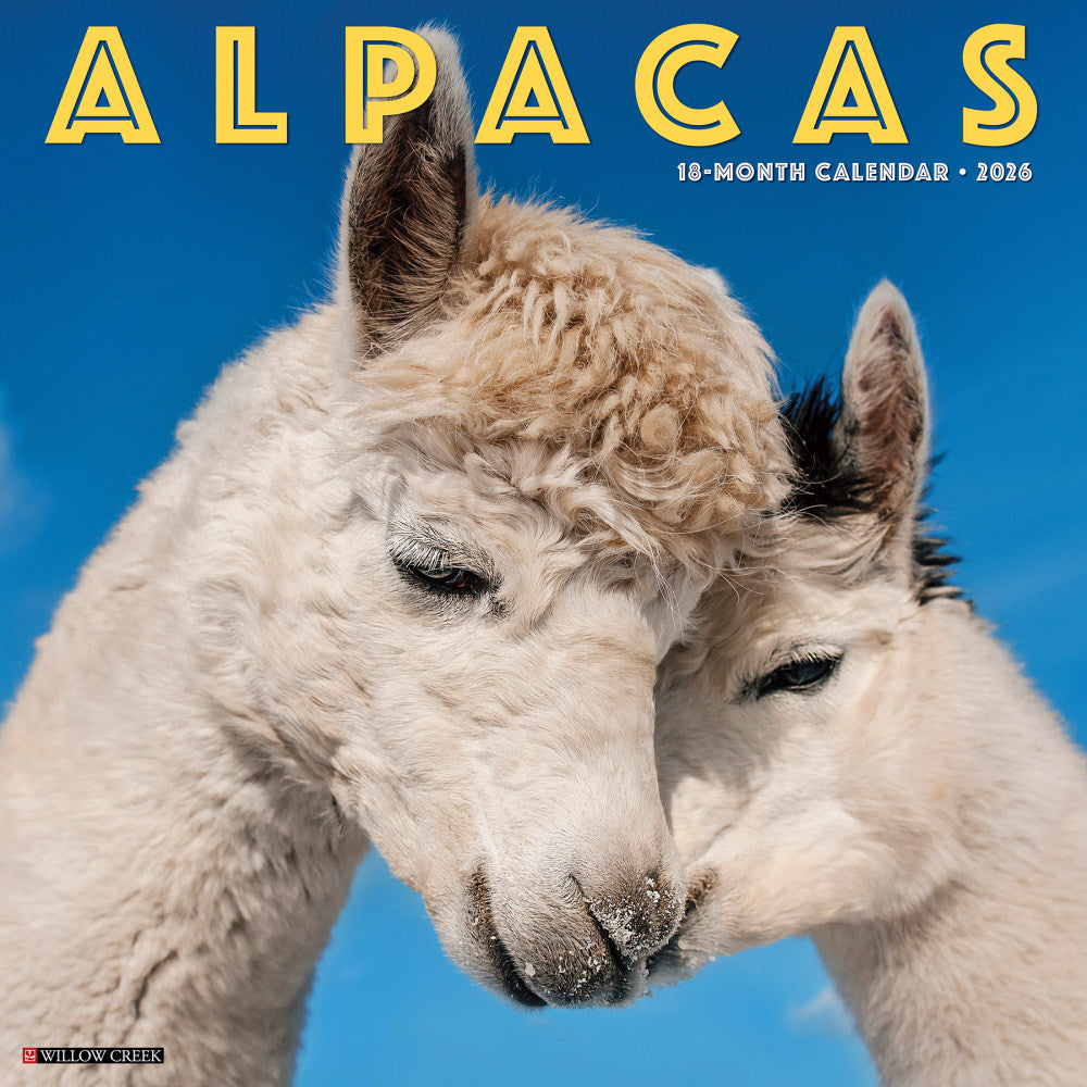 2026 Willow Creek Press Art & Design Monthly Wall Calendar, 12in x 12in, Alpacas, January To December, 49792