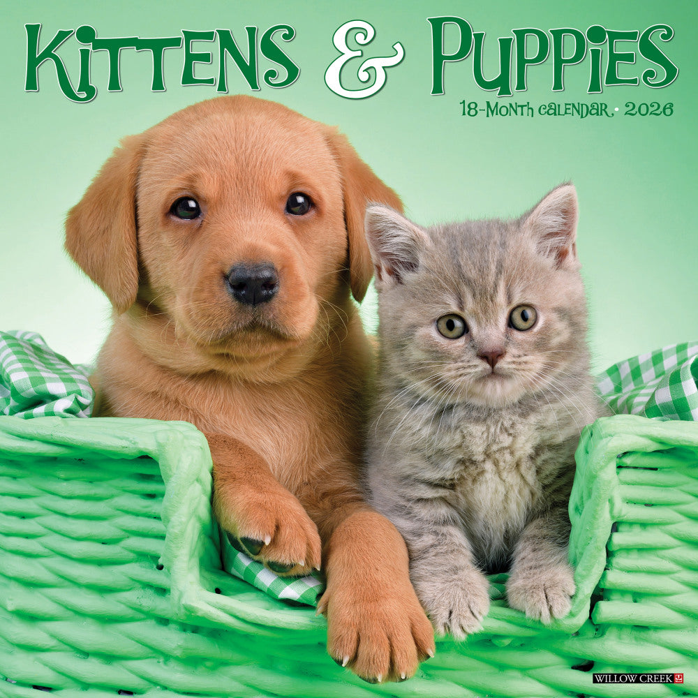 2026 Willow Creek Press Animals Monthly Wall Calendar, 12in x 12in, Kittens & Puppies, January To December, 51702