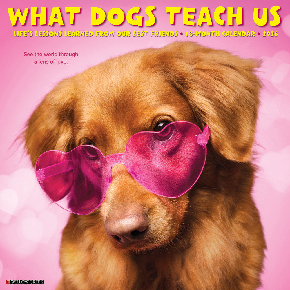 2026 Willow Creek Press Animals Monthly Wall Calendar, 12in x 12in, What Dogs Teach Us, January To December, 53164