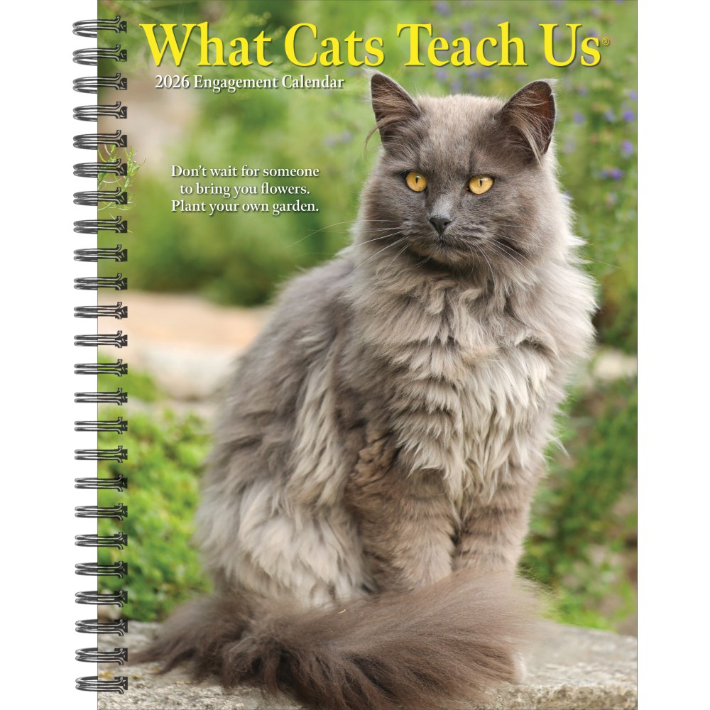2026 Willow Creek Press Weekly Engagement Calendar, 6-1/2in x 8-1/2in, What Cats Teach Us, January To December, 54666