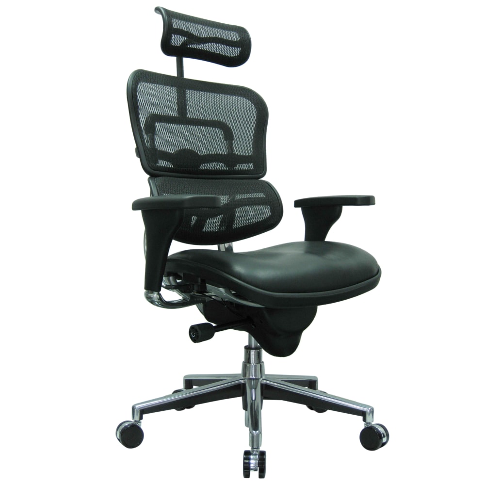 Raynor Eurotech Ergohuman Ergonomic Bonded Leather/Mesh High-Back Chair, Black/Chrome