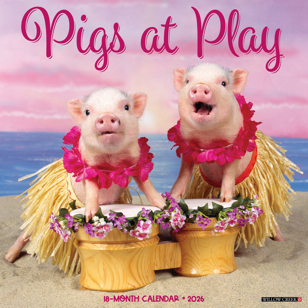 2026 Willow Creek Press Animals Monthly Wall Calendar, 12in x 12in, Pigs at Play, January To December, 52396