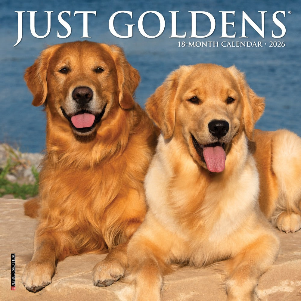 2026 Willow Creek Press Monthly Mini Wall Calendar, 7in x 7in, Just Goldens, January To December, 53607
