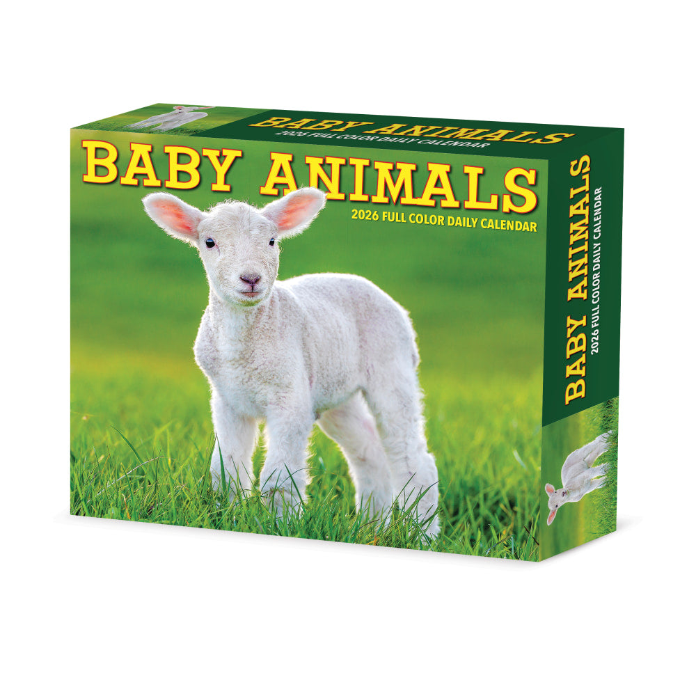 2026 Willow Creek Press Page-A-Day Daily Desk Calendar, 6-1/4in x 5-1/2in, Baby Animals, January To December, 53928