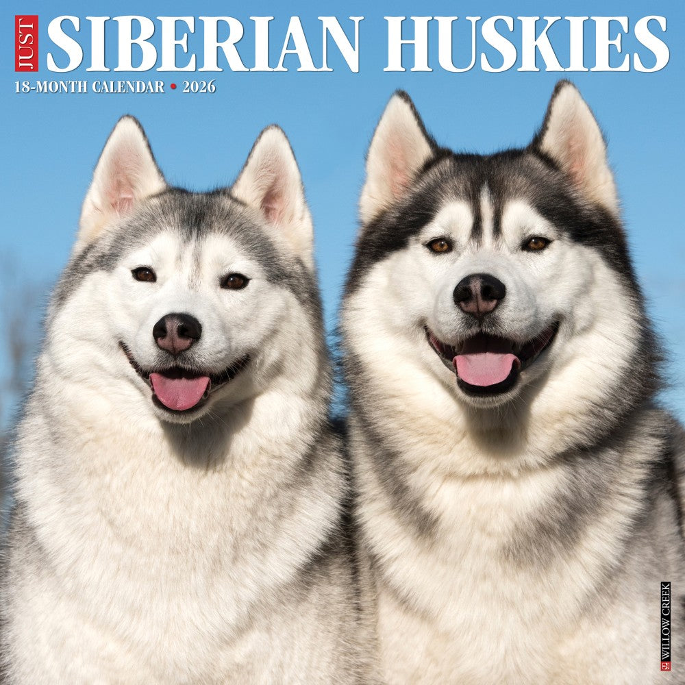 2026 Willow Creek Press Animals Monthly Wall Calendar, 12in x 12in, Siberian Huskies, January To December, 52792