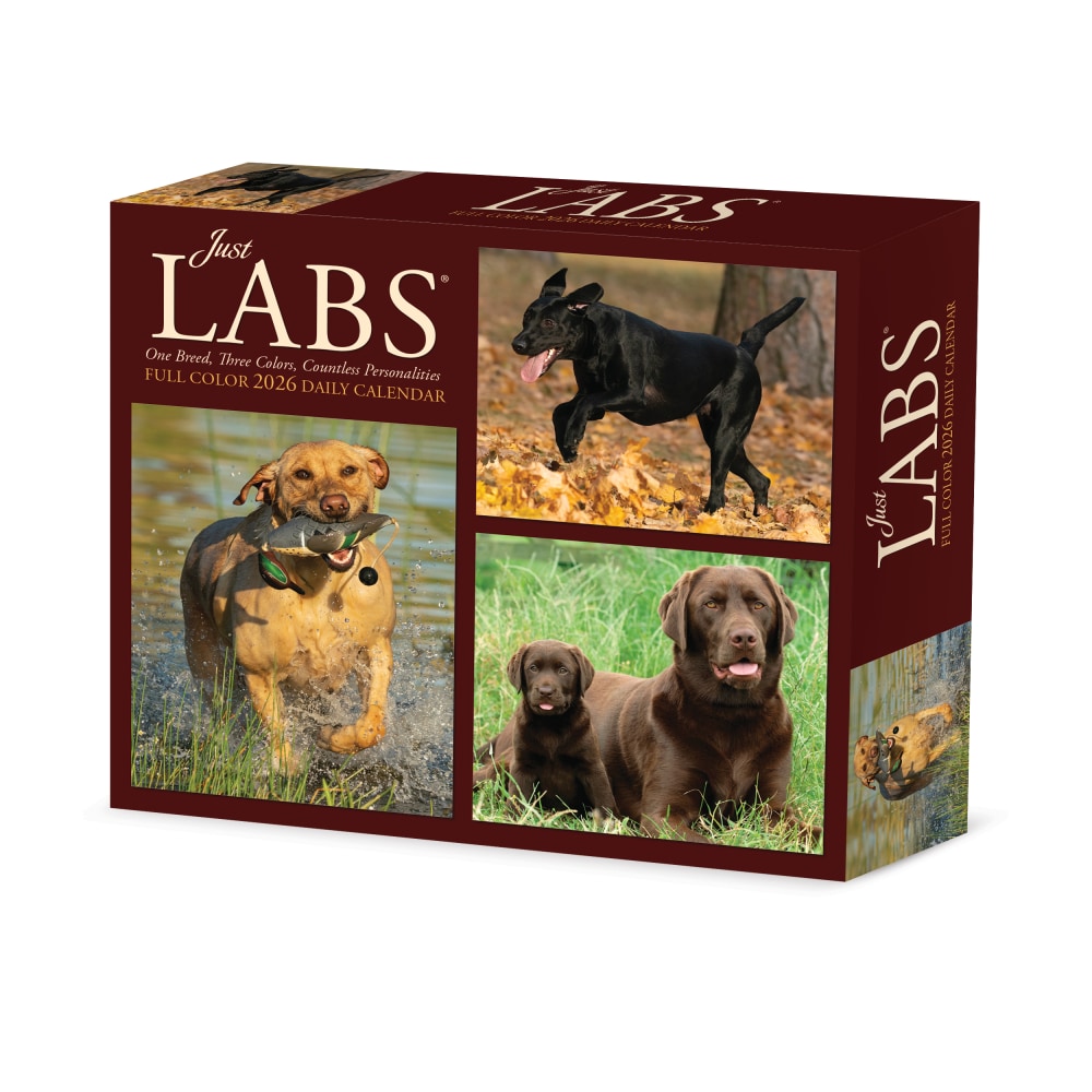 2026 Willow Creek Press Page-A-Day Daily Desk Calendar, 6-1/4in x 5-1/2in, Just Labs, January To December, 54277