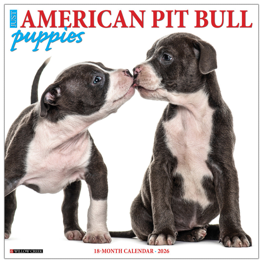 2026 Willow Creek Press Art & Design Monthly Wall Calendar, 12in x 12in, American Pit Bull Terrier Puppies, January To December, 49839