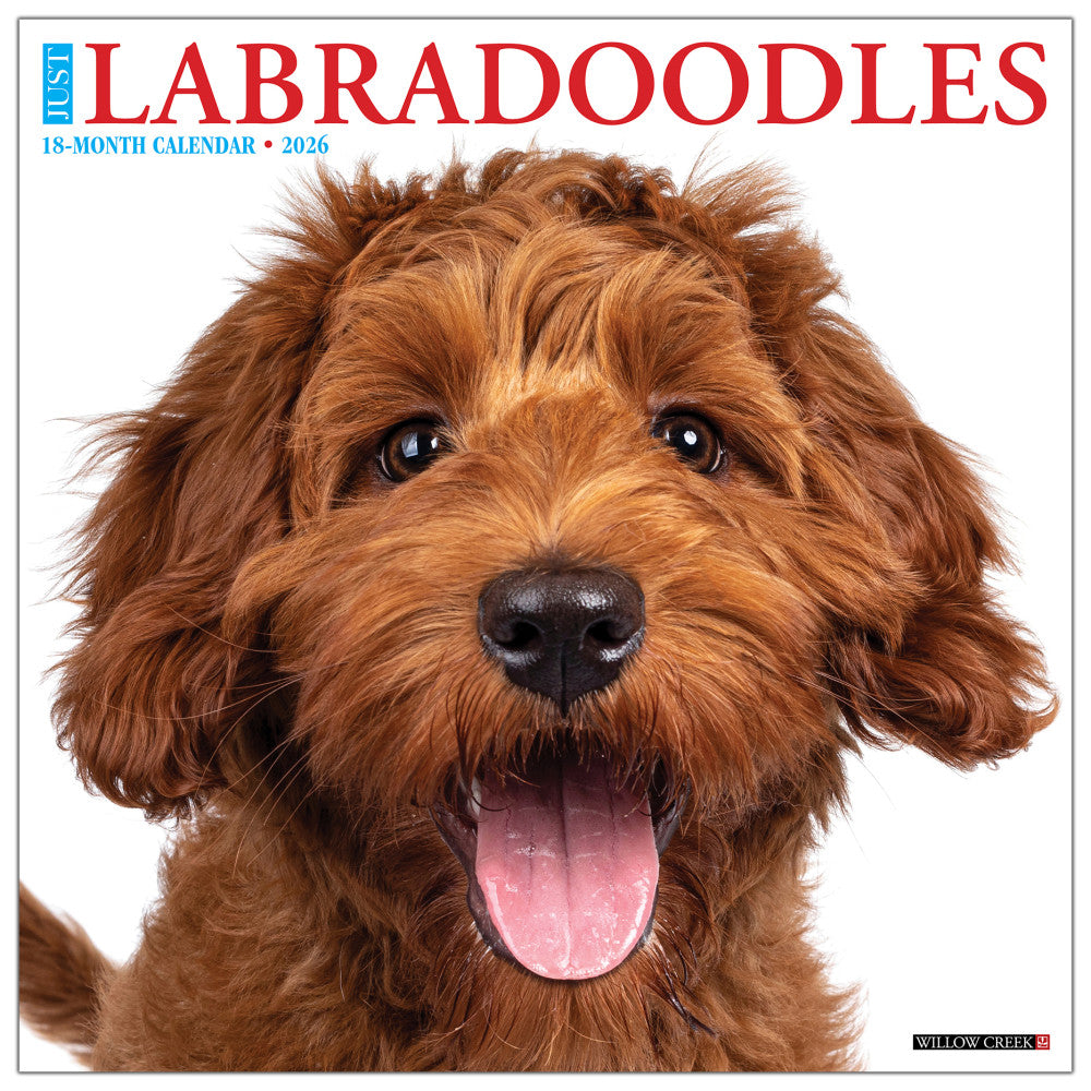 2026 Willow Creek Press Animals Monthly Wall Calendar, 12in x 12in, Just Labradoodles, January To December, 51726