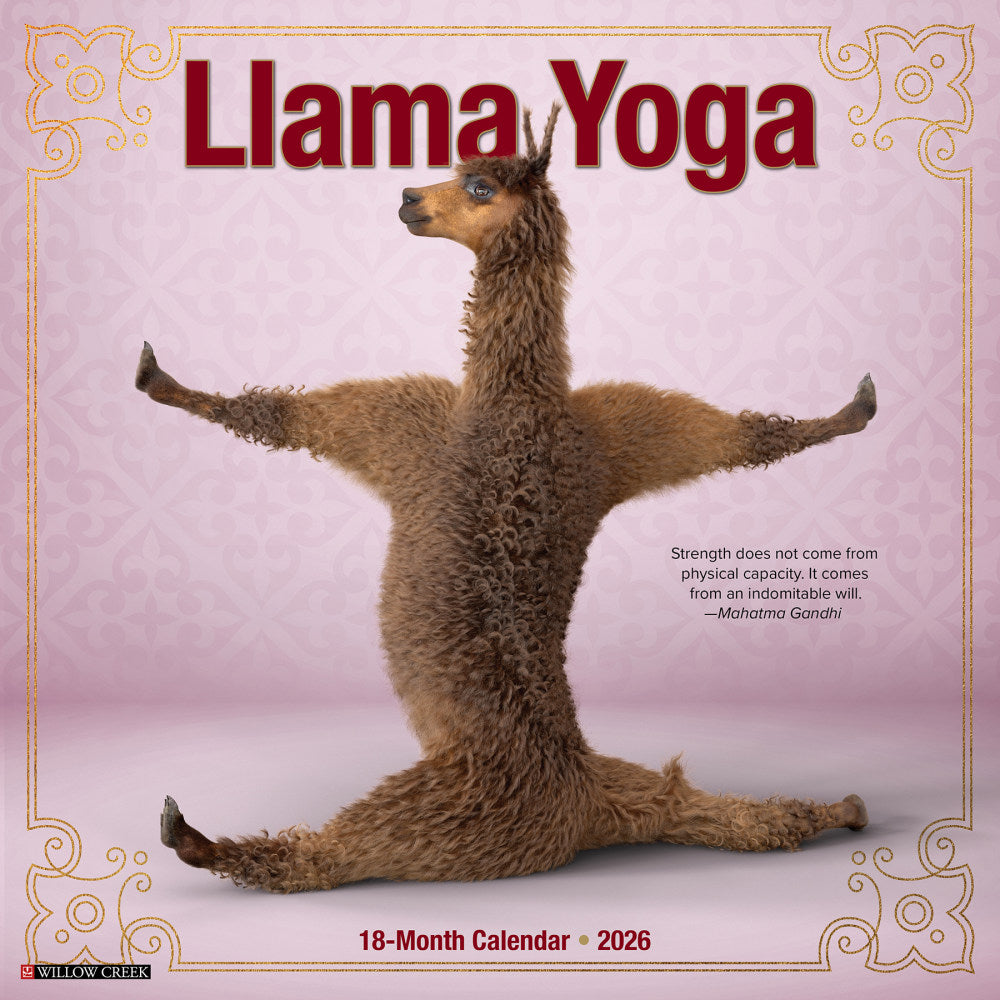 2026 Willow Creek Press Animals Monthly Wall Calendar, 12in x 12in, Llama Yoga, January To December, 55489