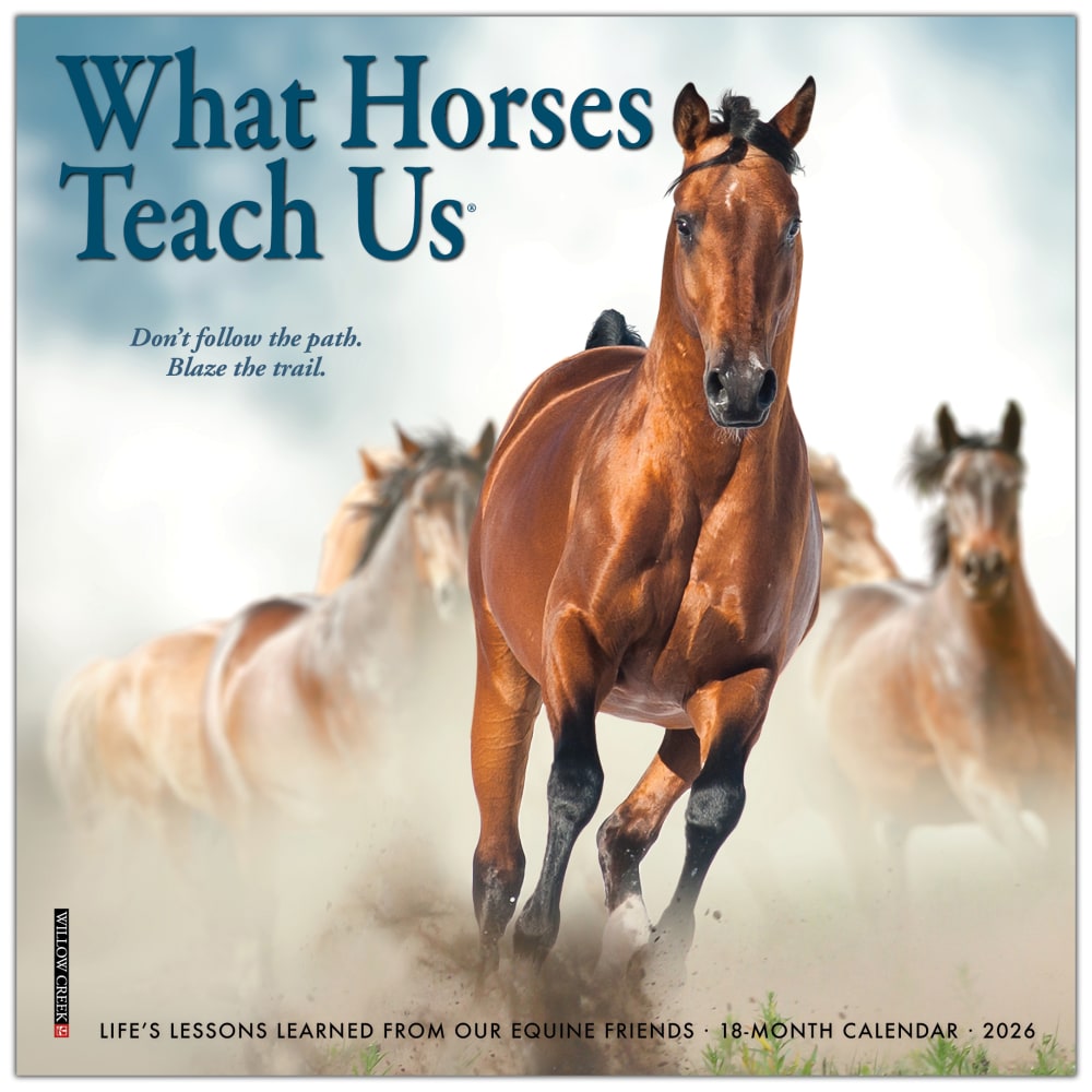 2026 Willow Creek Press Monthly Mini Wall Calendar, 7in x 7in, What Horses Teach Us, January To December, 53843