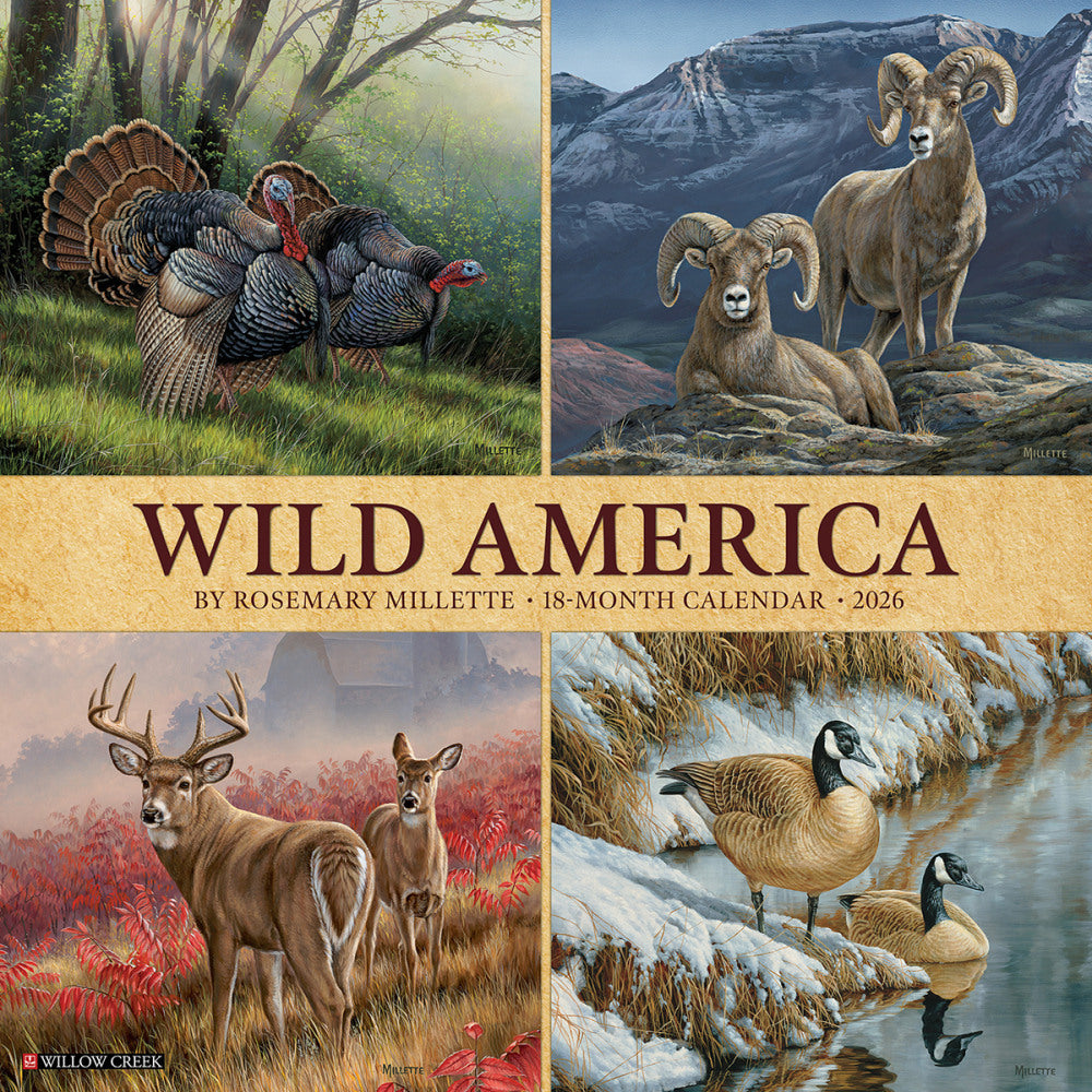2026 Willow Creek Press Animals Monthly Wall Calendar, 12in x 12in, Wild America, January To December, 53270