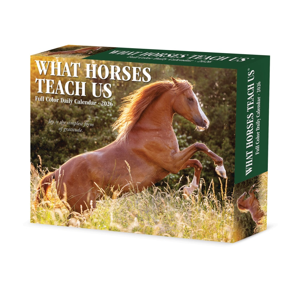 2026 Willow Creek Press Page-A-Day Daily Desk Calendar, 6-1/4in x 5-1/2in, What Horses Teach Us, January To December, 54529